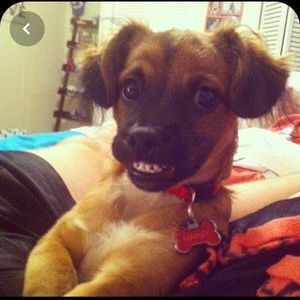 Meet your Posher, Cydney